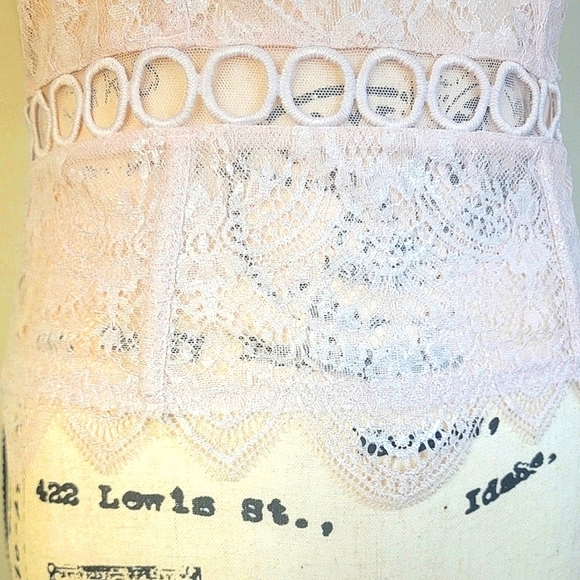 Victoria's Secret Longline Pink Sparkle Bustier Corset Lace Mesh - Picture 11 of 15